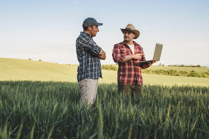 Dos agricultores en un cultivo consultando una tablet