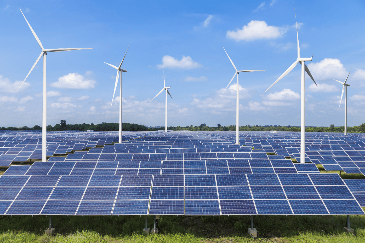 Paneles solares y molinos de viento.