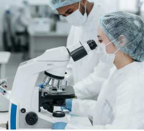 Dos investigadores trabajan con un microscopio