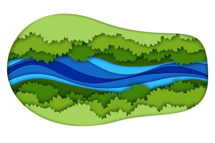 Dibujo de un ecosistema fluvial