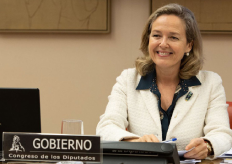 vicepresidenta, Nadia, Calviño, comisión, congreso, diputados