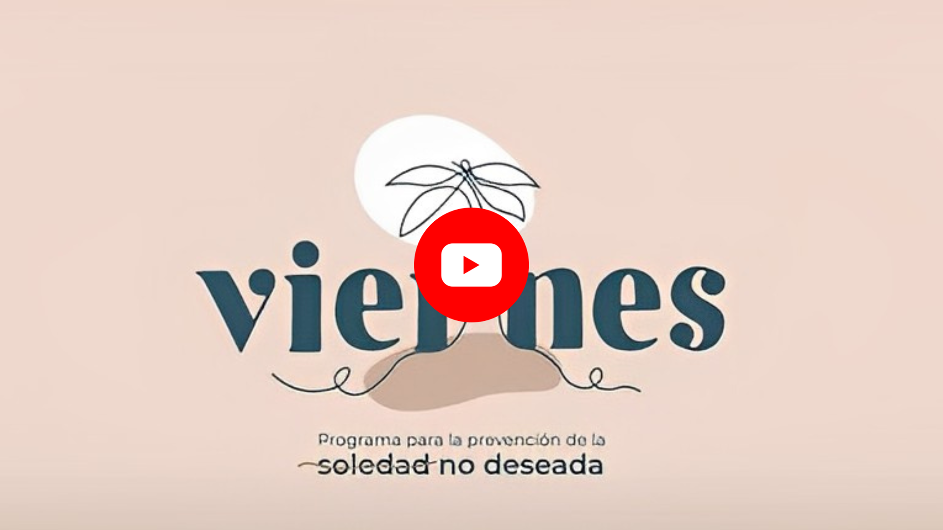 Programa ‘Viernes’: prevención de la soledad no deseada