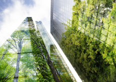 edificios de cristal reflejando bosques en sus fachadas