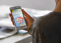 una persona mirando un mapa de España en un móvil