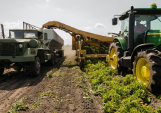 maquinaria agrícola trabjando
