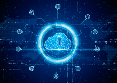 carleta, 3d, digitalización