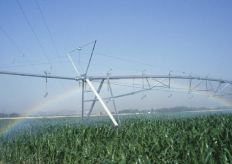 un cultivo de regadío