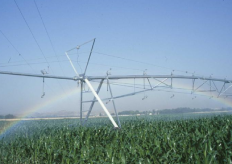 un cultivo de regadío