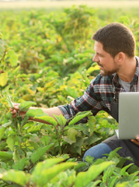 una agricultor con un portátil en un campo de cultivo