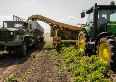 un tractor trabajando ene l campo