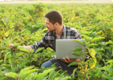 un agricultor con un portátil en el campo