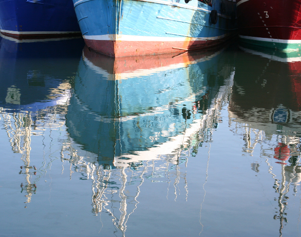 barcos de pesca