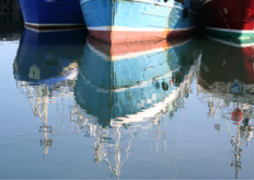 barcos de pesca
