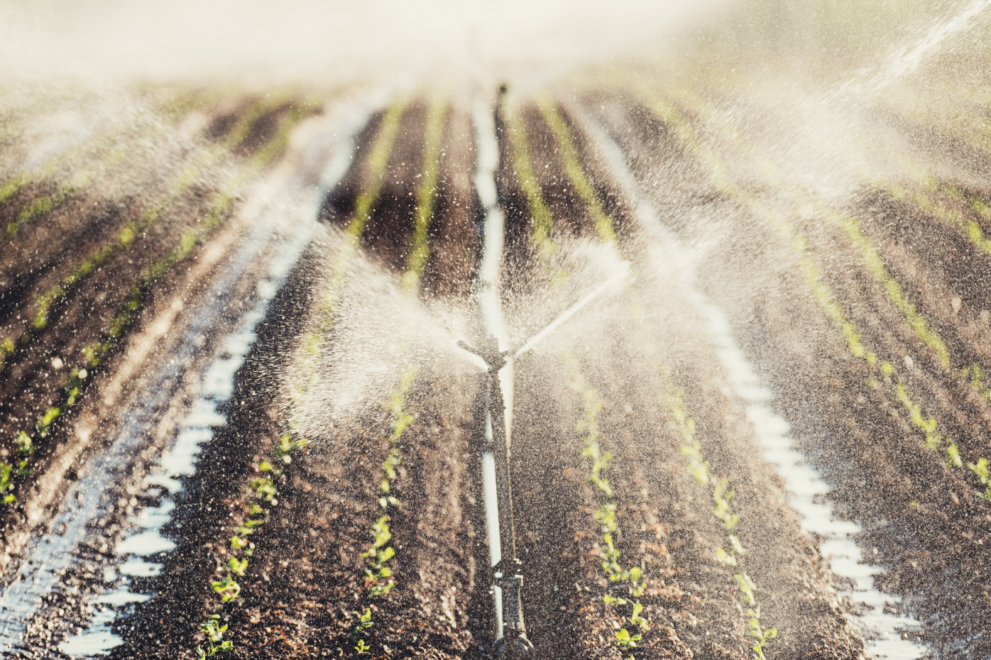 Imagen Agricultura destina 24,4 M€ para impulsar el uso de las aguas no convencionales en los regadíos de Lanzarote