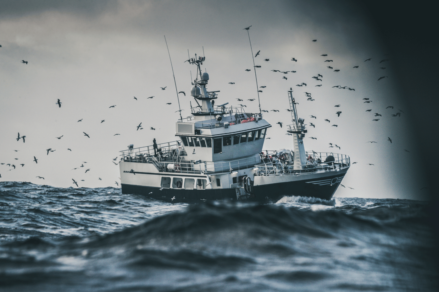 Imagen Agricultura concede ayudas para la transformación de productos de la pesca y la acuicultura