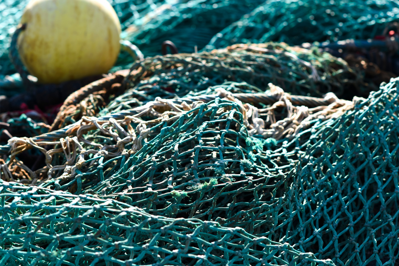 redes de pesca