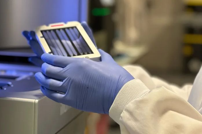 Manos de una persona durante un proceso de investigación en un laboratorio