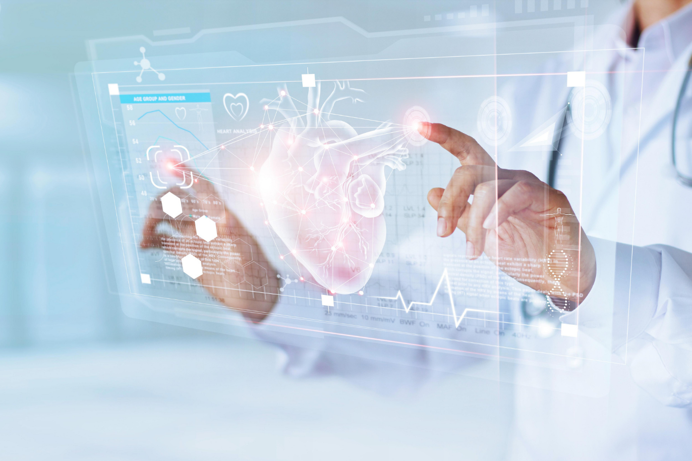 un médico consultando un gráfico 3D de un corazón