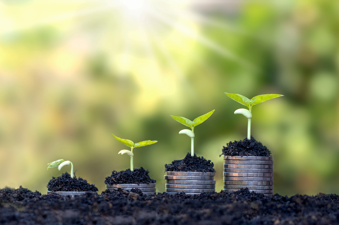montones de monedas con plantas encima