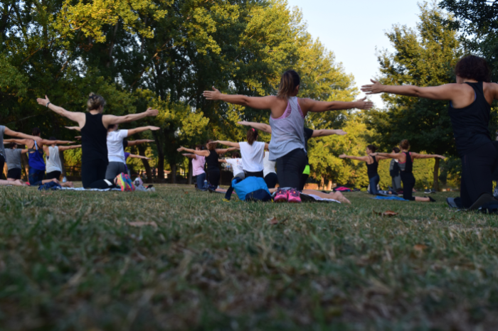imagen de un grupo de personas haciendo ejercicio en un parque