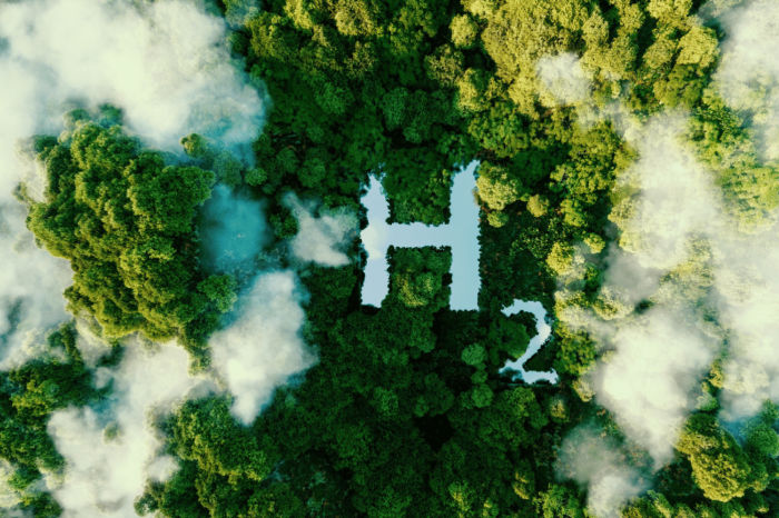 Bosque con una señal de H2