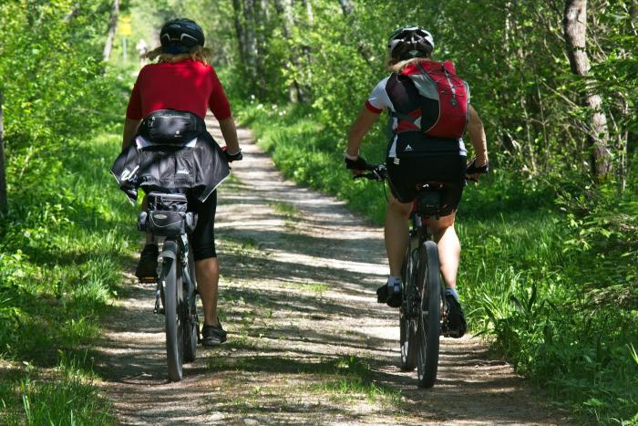Dos personas circulando en bicicleta por una ciclov&iacute;a entre &aacute;rboles