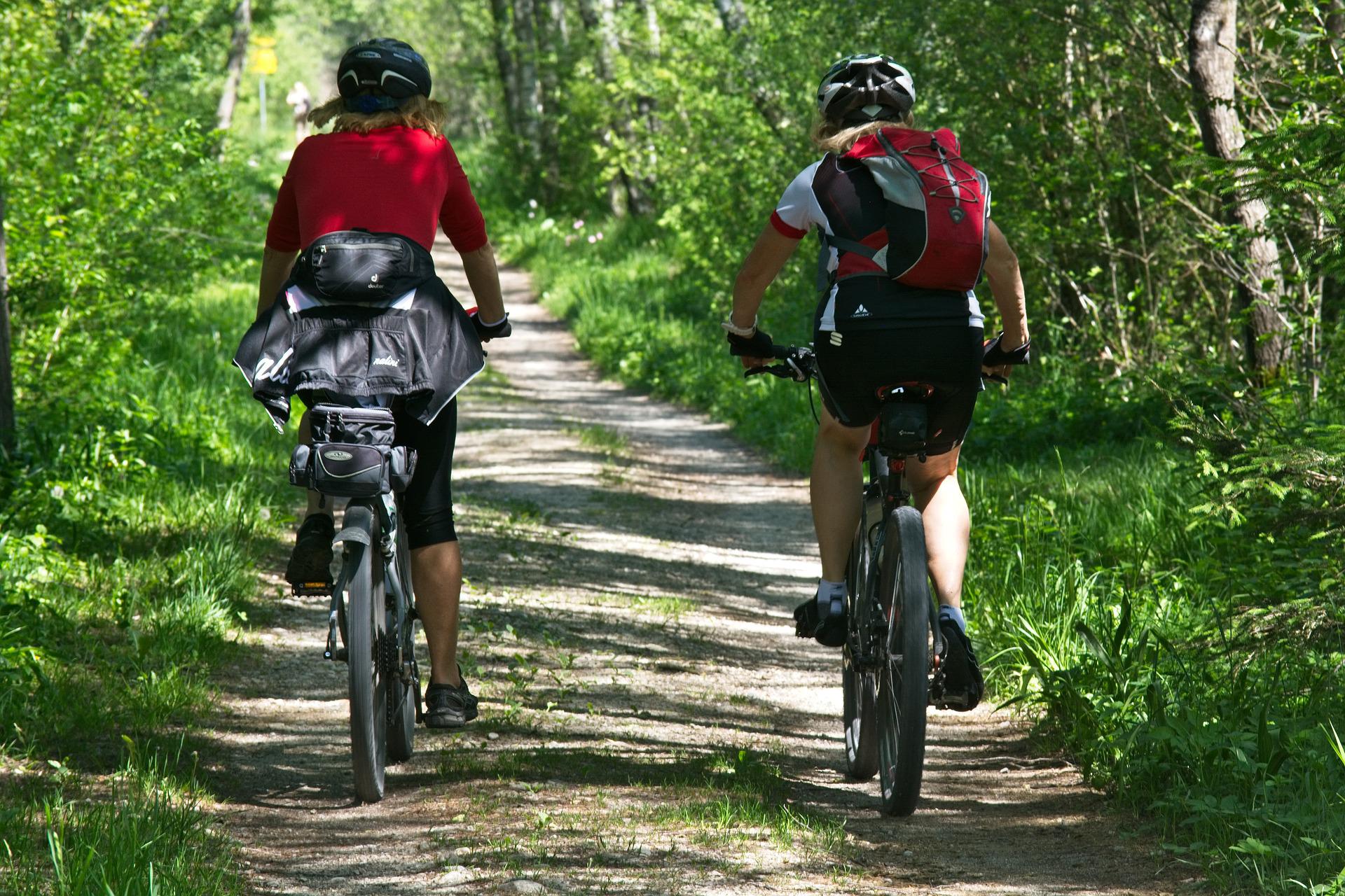 Dos personas circulando en bicicleta por una ciclovía entre árboles